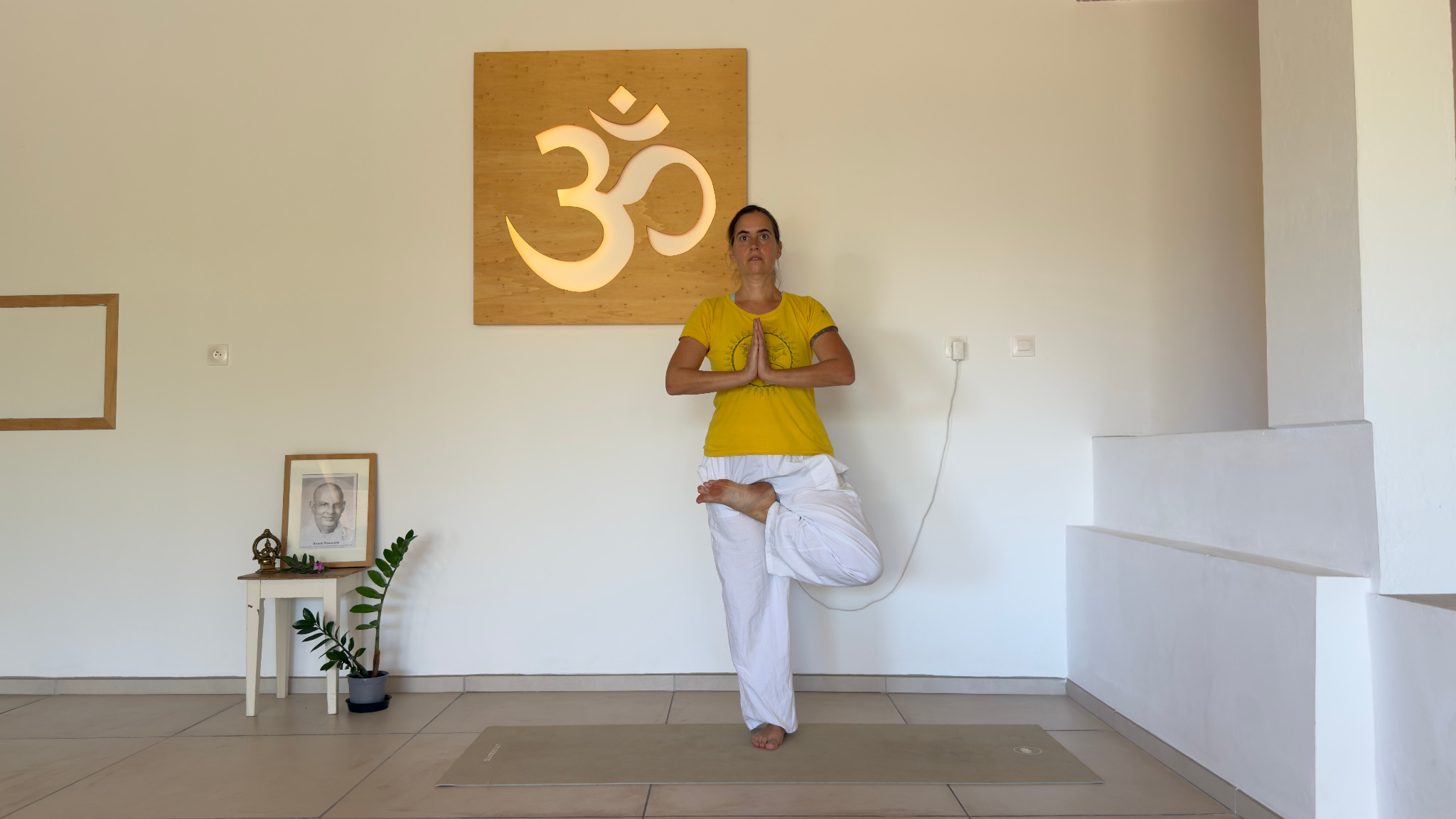 Vrikshasana (posture de l’arbre)